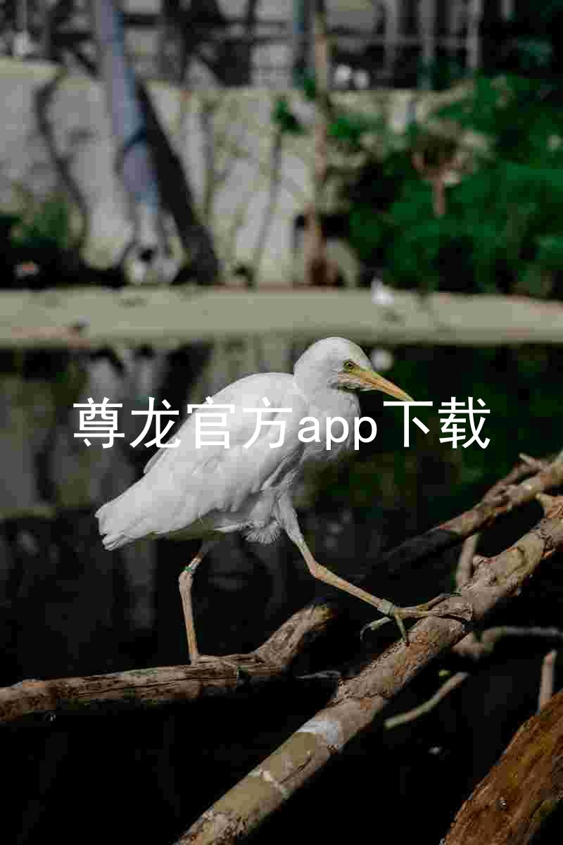 尊龙官方app下载